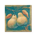 Trademark Daphne Brissonnet Lovely Fruits I Gallery-Wrapped Canvas Art, 35 x 35