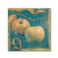 Trademark Daphne Brissonnet Lovely Fruits II Gallery-Wrapped Canvas Art, 35 x 35