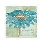 Trademark Chris Paschke "Spa Daisies I" Gallery-Wrapped Canvas Art, 18" x 18"