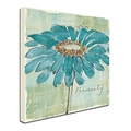 Trademark Chris Paschke Spa Daisies I Gallery-Wrapped Canvas Art, 18 x 18