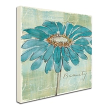 Trademark Chris Paschke Spa Daisies I Gallery-Wrapped Canvas Art, 18 x 18