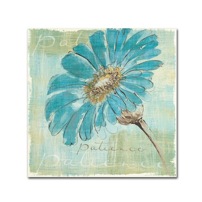 Trademark Chris Paschke Spa Daisies II Gallery-Wrapped Canvas Art, 35 x 35