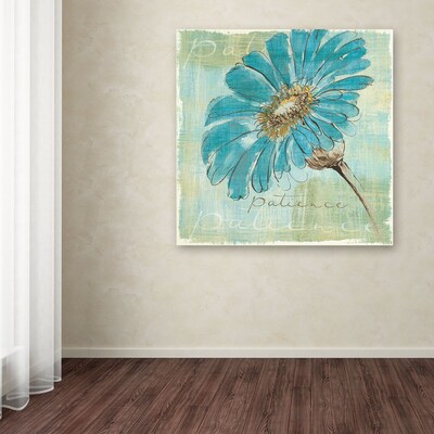 Trademark Chris Paschke "Spa Daisies II" Gallery-Wrapped Canvas Art, 18" x 18"