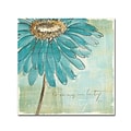 Trademark Chris Paschke Spa Daisies III Gallery-Wrapped Canvas Art, 35 x 35