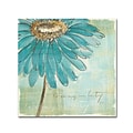 Trademark Chris Paschke Spa Daisies III Gallery-Wrapped Canvas Art, 24 x 24