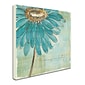 Trademark Chris Paschke Spa Daisies III Gallery-Wrapped Canvas Art, 24 x 24