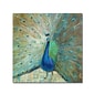 Trademark Danhui Nai "Blue Peacock on Gold" Gallery-Wrapped Canvas Art, 18" x 18"
