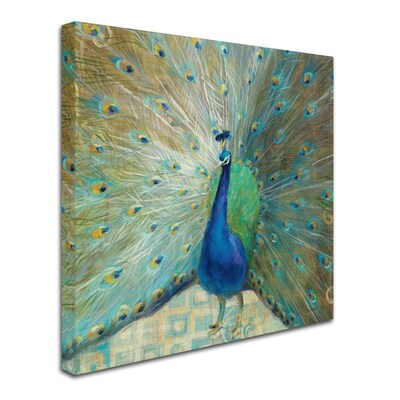 Trademark Danhui Nai Blue Peacock on Gold Gallery-Wrapped Canvas Art, 18 x 18