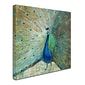 Trademark Danhui Nai "Blue Peacock on Gold" Gallery-Wrapped Canvas Art, 18" x 18"