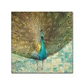 Trademark Danhui Nai Teal Peacock on Gold Gallery-Wrapped Canvas Art, 14 x 14