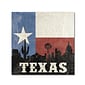 Trademark Moira Hershey "Texas" Gallery-Wrapped Canvas Art, 35" x 35"