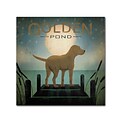 Trademark Ryan Fowler Moonrise Yellow Dog Golden Pond Gallery-Wrapped Canvas Art, 14 x 14