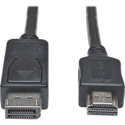 10 DisplayPort/HDMI Cable Adapter