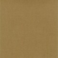 Worldwin® 12 x 12 Kraft Cardstock, Brown, 25/Pack