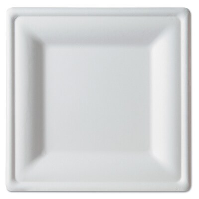 square disposable plates