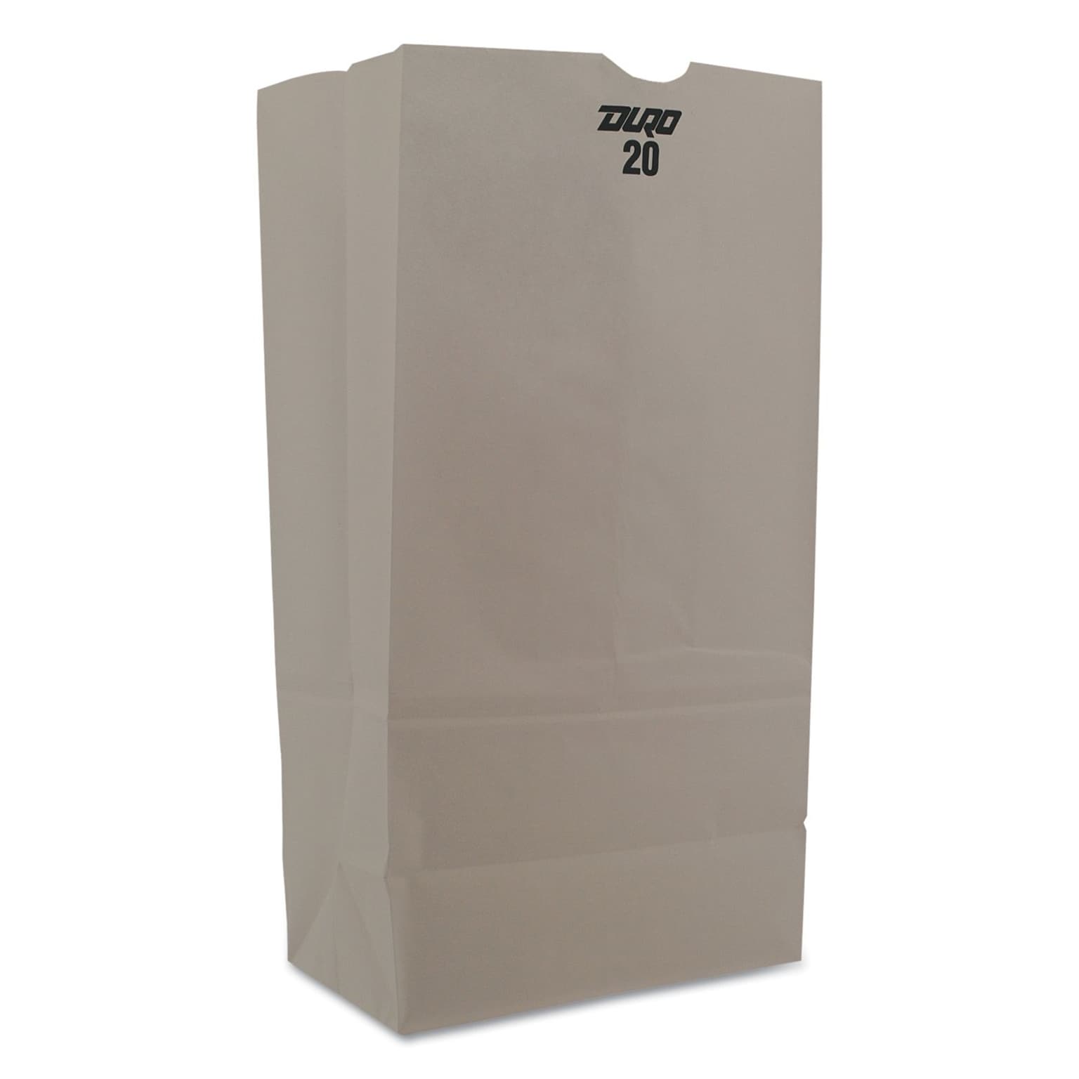 S & G PACKAGING White Paper Bag, 500/Pack