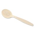 DIXIE/FORT JAMES Soup Spoon; Champagne