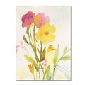 Trademark Fine Art SG5714-C2432GG Wildflowers Against the Sky by Sheila Golden 32 x 24 FRMLS Art