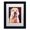 Trademark Fine Art ALI0556-B1114MF Bailey Boy by DawgArt 14 x 11 Framed Art, White Matted