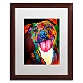 Trademark Fine Art ALI0598-W1620MF Smile Time by DawgArt 20 x 16 Framed Art, White Matted
