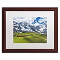 Trademark Fine Art Beautiful Switzerland by Philippe Sainte-Laudy 16x20 FRM Art, WHT MTD (PSL0297-W1620MF)