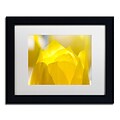 Trademark Fine Art KS0156-B1114MF Yellow Tulip by Kurt Shaffer 11 x 14 Framed Art, White Matted