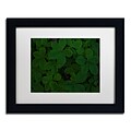 Trademark Fine Art KS0174-B1114MF Green Leaf Abstract by Kurt Shaffer 11 x 14 FRM Art, WHT MTD