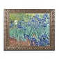Trademark Fine Art BL0317-G1620F "Irises, 1889" by Vincent van Gogh 16" x 20" Framed Art