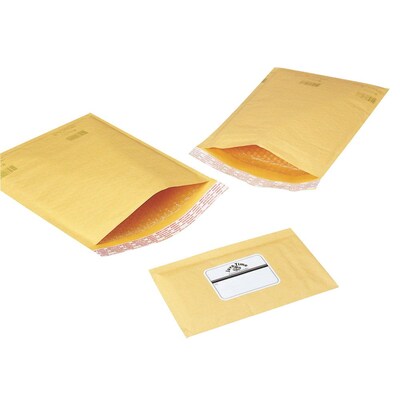 7" x 10" Polyair Ecolite #1 Mailer, 100/CT (76-1RC)