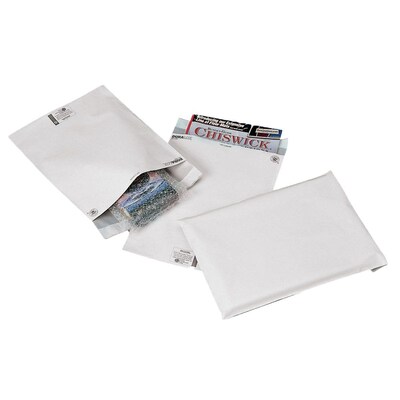 Polytek Poly Pak America Durable Polyethylene Mailers, 10 x 13, White, 100/Pack (5107)