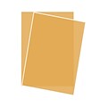 Lux Paper 8.5 x 11 inch Gold 1000/Pack