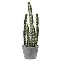 Nearly Natural 4845 Decorative Cactus Garden with Cement Planter Multi Color