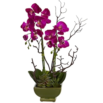 Nearly Natural 4990 Orchid & Succulent Arrangement Multi Color