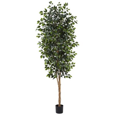 Nearly Natural 5427 Ficus Tree With Leaves 8-Feet Green