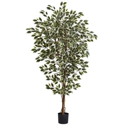 Nearly Natural 5437 Ficus Tree, 72 x 40 inch