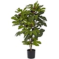 Nearly Natural 5440 Fig Tree 32 x 20 inch, Green