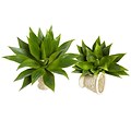 Nearly Natural 6109-S2 Agave Succulent Green Plant 17 x 15 inch