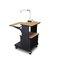 Marvel® 24 Presentation Cart With Acrylic Door, Steel, Oak/Dark Neutral