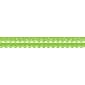 Barker Creek Happy Lime Green Double-Sided Scalloped Edge Border, 39 feet of 2-1/4" Border/Pack