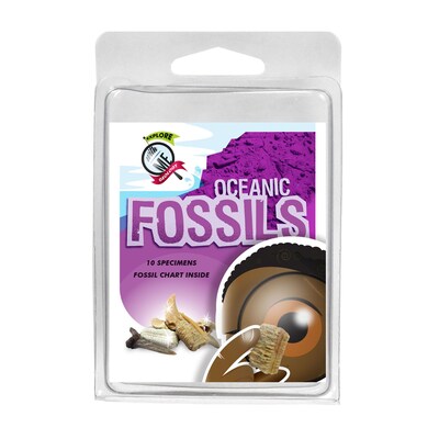 Explore With Me Geology® Oceanic Fossil; 4/Pack