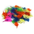 Charles Leonard Creative Arts Turkey Feathers, Hot Colors, 1/2 oz. (CHL63030)
