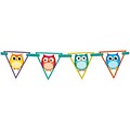 Carson-Dellosa Colorful Owls 7 x 7, Colorful Owls Bunting Banner 17 Pieces (102038)