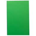 JAM Paper® Matte Colored Paper, 24 lbs., 11 x 17, Green Recycled, 100 Sheets/Pack (16728459)