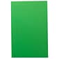 JAM Paper Ledger 65 lb. Cardstock Paper, 11" x 17", Green, 50 Sheets/Pack (16728484)