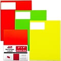 JAM Paper® Shipping Address Labels, Standard Mailing, 2 x 4, Assorted Neon, 120/Pack (354328027)