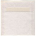 JAM Paper® 8.5 x 8.5 Square Translucent Vellum Invitation Envelopes, Clear, 50/Pack (GTGN530I)