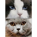 Thea Gouverneur Aida Counted Cross Stitch Kit 4.75 x 6.75 inch, Cats Smokey + Blue