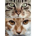 Thea Gouverneur Aida Counted Cross Stitch Kit 4.75 x 6.75 inch, Cats Tess + Simba