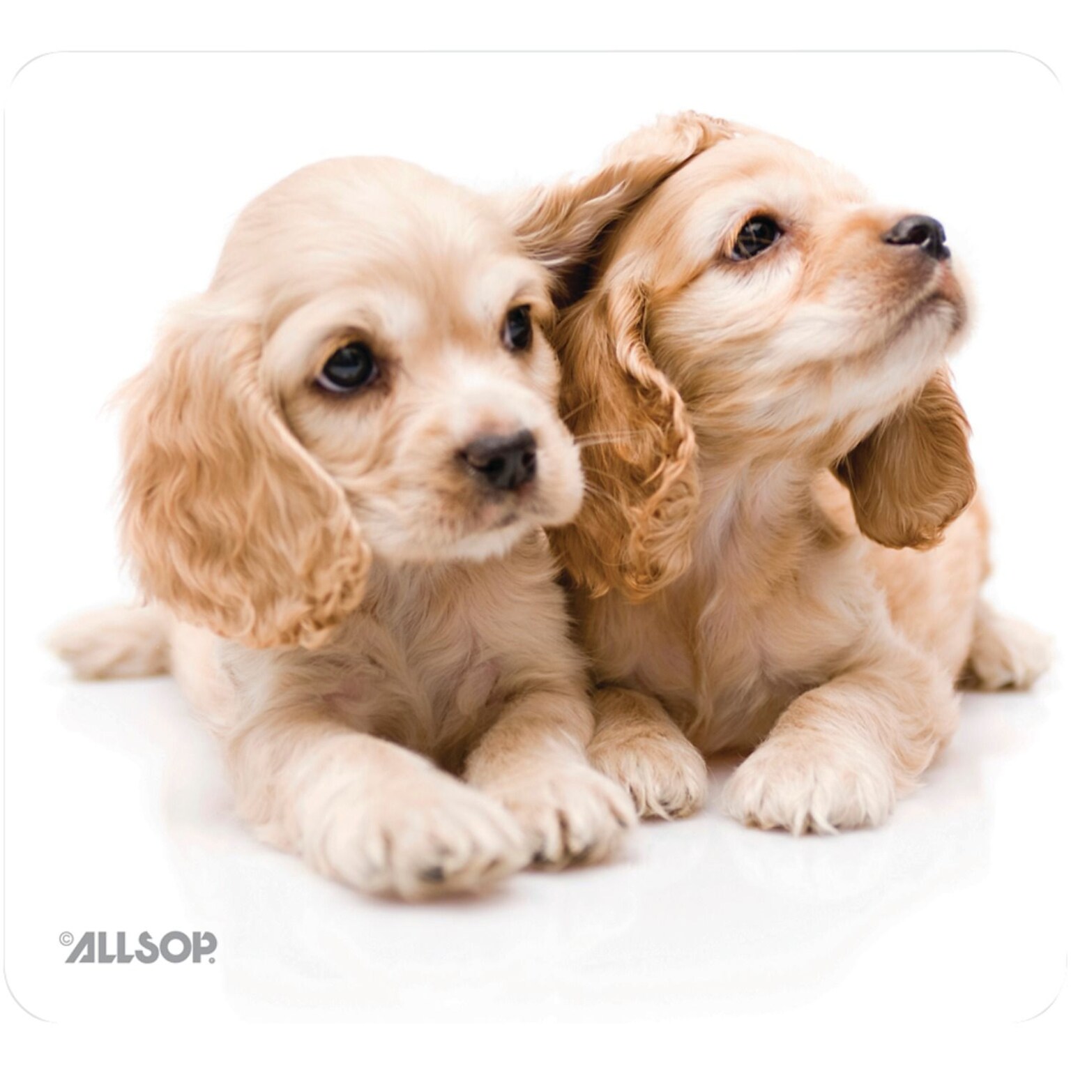 Allsop® NatureSmart™ Non-Skid Mouse Pad, Puppies (30183)