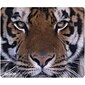Allsop Natures Smart Tiger Mouse Pad, Mulitcolored (30188)
